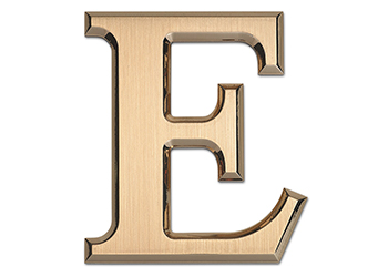 Bronze Letter E